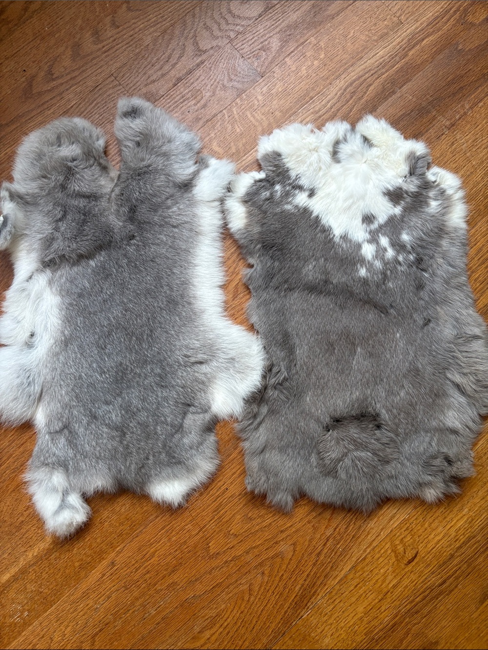Gray and White Real Rabbit  Fur Pelts - Pair
